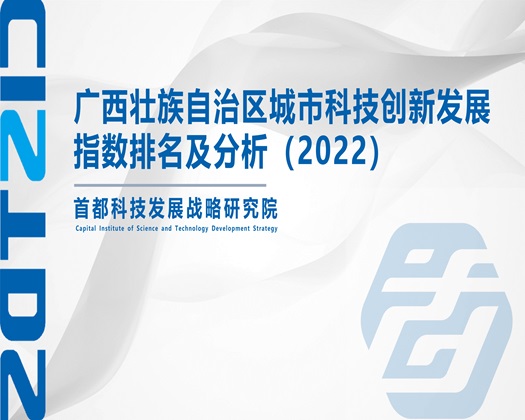 老太婆操死你骚货【成果发布】广西壮族自治区城市科技创新发展指数排名及分析（2022）